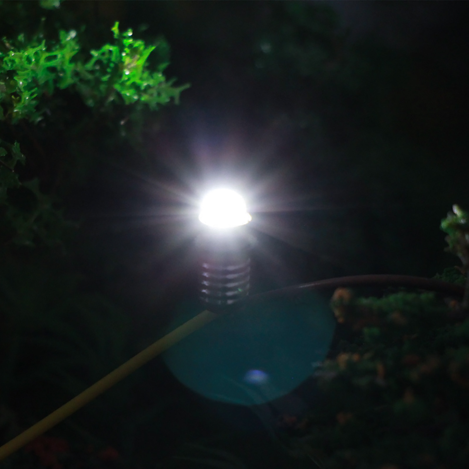 10pcs Led E5/E5.5 12-14V Luce Bianca Per Modellismo HO TT N Scale &ndash; Evemodel E501W